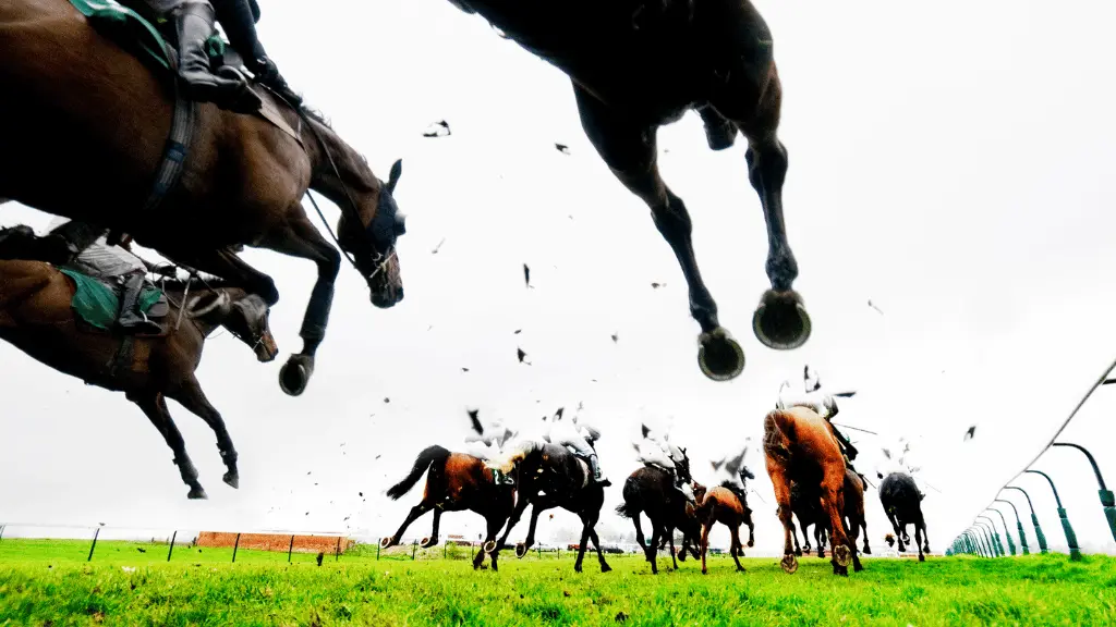 競馬